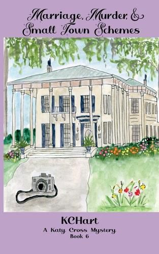 Cover image for Marriage Murder and Small Town Schemes