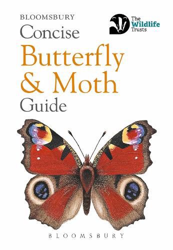 Cover image for Concise Butterfly and Moth Guide