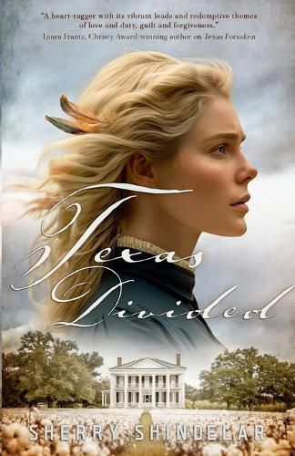 Cover image for Texas Divided