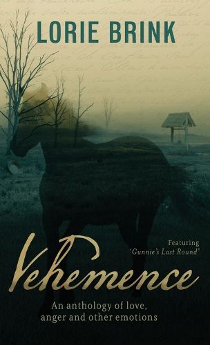Cover image for Vehemence