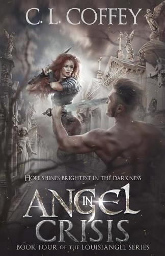 Cover image for Angel in Crisis