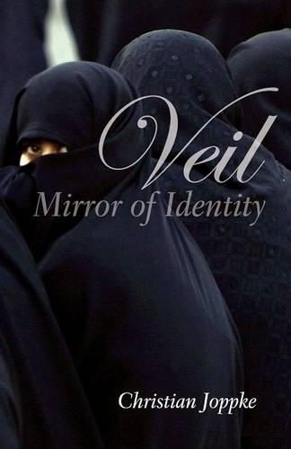 Cover image for Veil