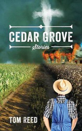 Cover image for Cedar Grove: Stories