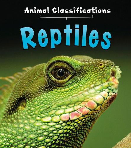 Cover image for Reptiles