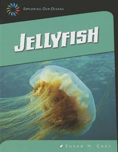 Jellyfish