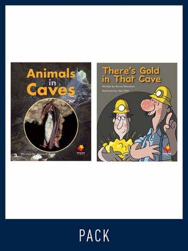 Cover image for Flying Start Guided Reading Pack Level 13, Pack 4: Paired student books (6x6) and lesson plan (1)