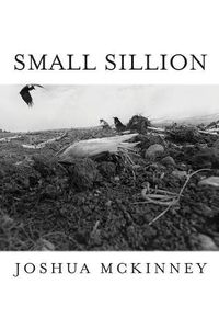 Cover image for Small Sillion