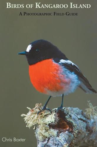 Cover image for Birds OF Kangaroo Island