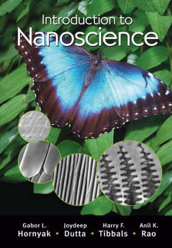 Cover image for Introduction to Nanoscience