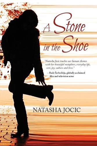 Cover image for A Stone in the Shoe