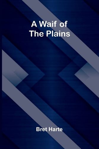 Cover image for A Waif of the Plains