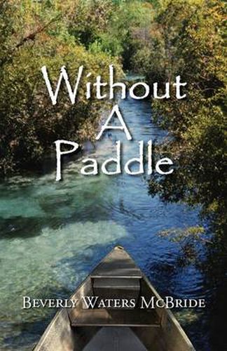 Cover image for Without a Paddle