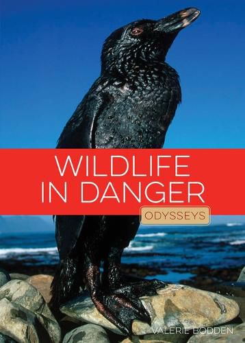 Cover image for Wildlife in Danger