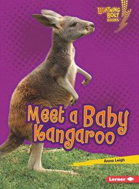 Cover image for Meet a Baby Kangaroo