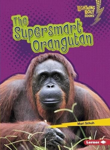 Cover image for The Supersmart Orangutan
