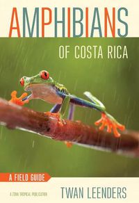 Cover image for Amphibians of Costa Rica: A Field Guide