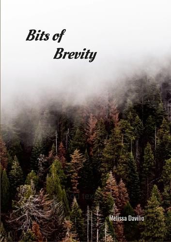 Cover image for Bits of Brevity