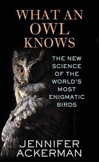Cover image for What an Owl Knows