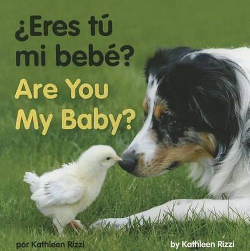 Cover image for Are You My Baby?