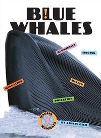 Cover image for Blue Whales