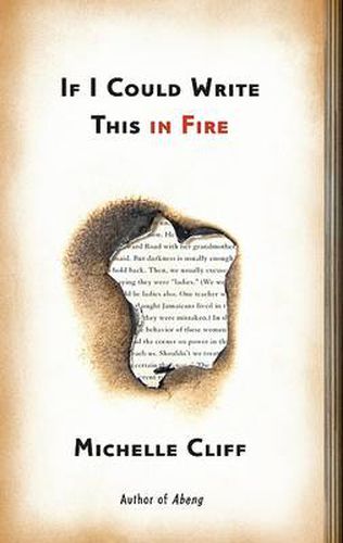 Cover image for If I Could Write This in Fire