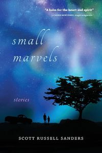 Cover image for Small Marvels: Stories