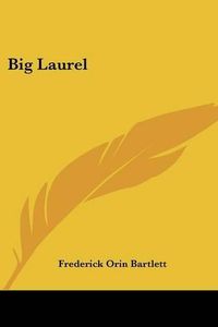 Cover image for Big Laurel