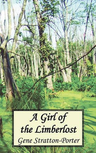 Cover image for A Girl of the Limberlost