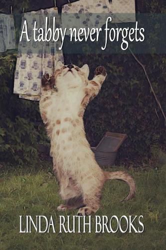 Cover image for A Tabby Never Forgets
