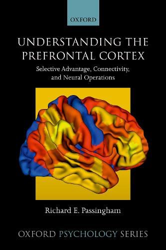Cover image for Understanding the Prefrontal Cortex: Selective advantage, connectivity, and neural operations
