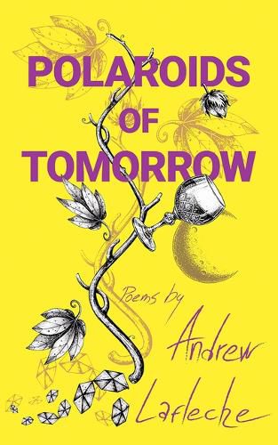 Cover image for Polaroids of Tomorrow