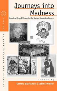 Cover image for Journeys Into Madness: Mapping Mental Illness in the Austro-Hungarian Empire