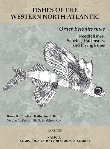 Order Beloniformes: Needlefishes, Sauries, Halfbeaks, and Flyingfishes: Part 10