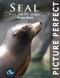 Cover image for Seal