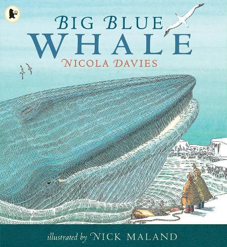 Cover image for Big Blue Whale