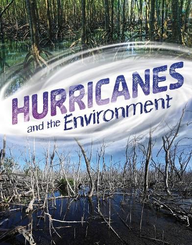 Cover image for Hurricanes and the Environment