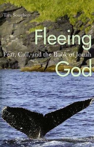 Cover image for Fleeing God: Fear, Call, and the Book of Jonah