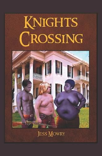 Cover image for Knights Crossing