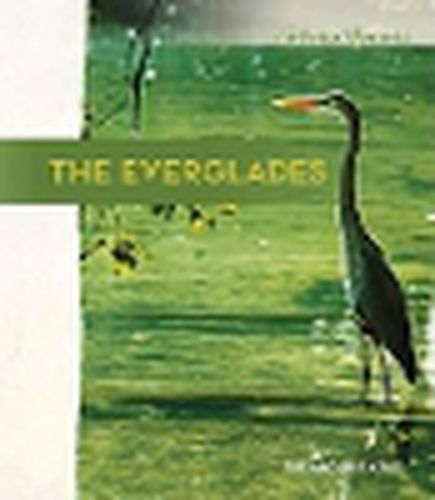 Cover image for The Everglades