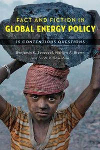 Cover image for Fact and Fiction in Global Energy Policy: Fifteen Contentious Questions