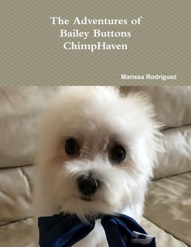 Cover image for The Adventures of Bailey Buttons