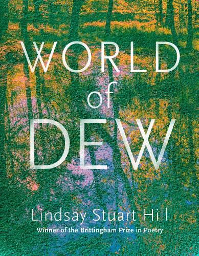 Cover image for World of Dew