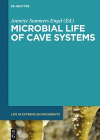 Cover image for Microbial Life of Cave Systems