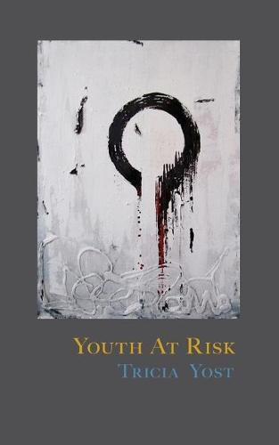 Cover image for Youth at Risk