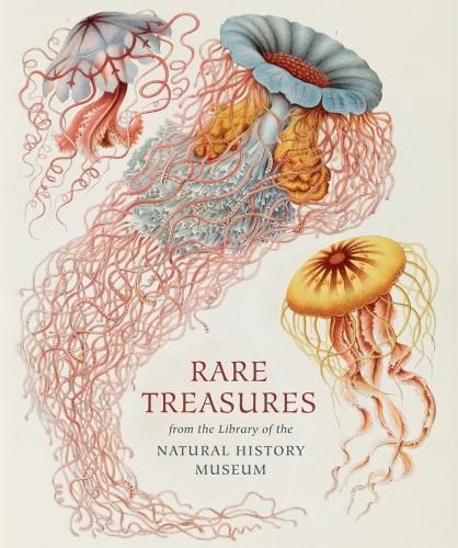 Cover image for Rare Treasures: From the Library of the Natural History Museum