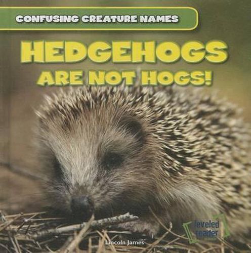 Hedgehogs Are Not Hogs!