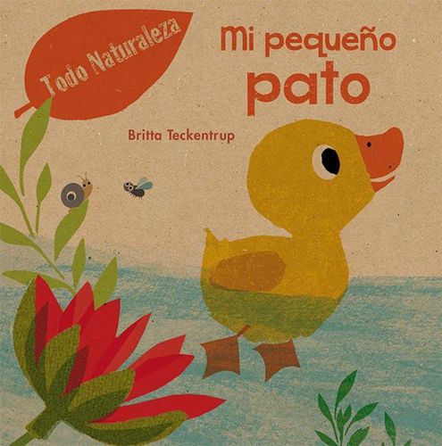 Mi Pequeno Pato