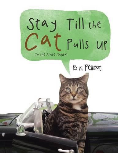Cover image for Stay Till the Cat Pulls Up: In the State Capital