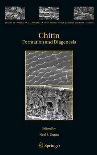 Cover image for Chitin: Formation and Diagenesis