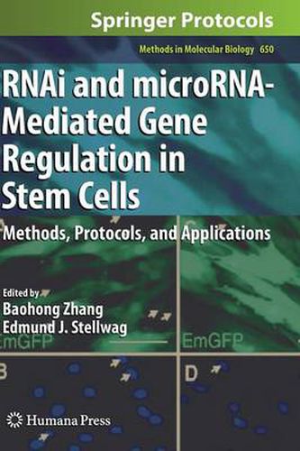 Cover image for RNAi and microRNA-Mediated Gene Regulation in Stem Cells: Methods, Protocols, and Applications